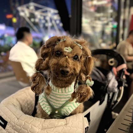 小白